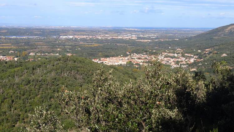Plaine du Roussillon