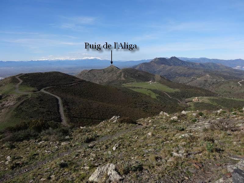 Puig Aliga depuis Puig Alt