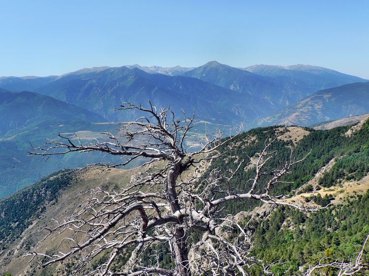 Panorama sur les Pyrénées catalanes