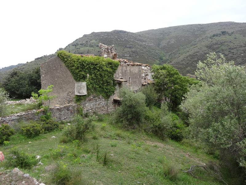 Ruines de Montjoi Baix